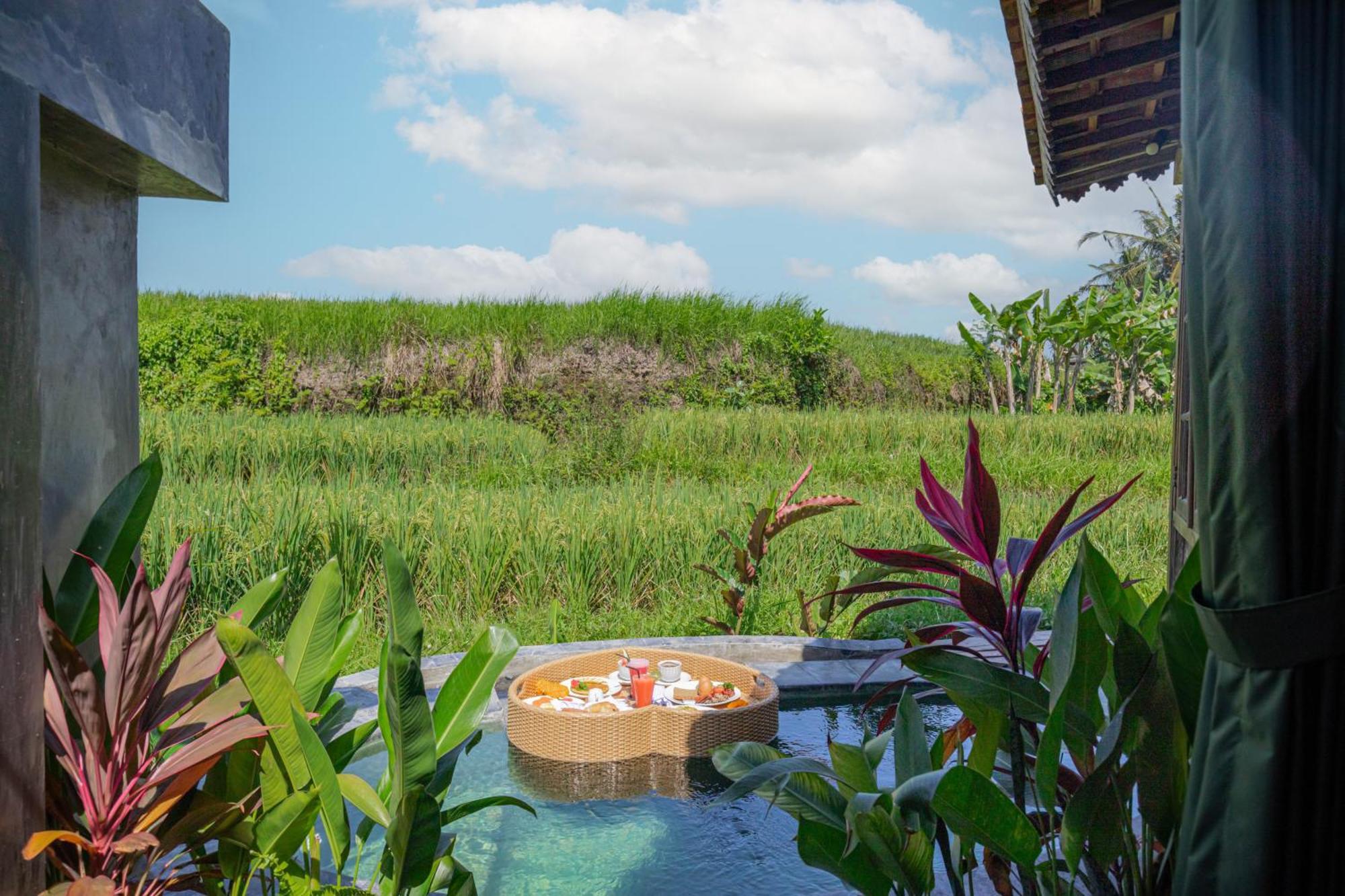 Abian Ubud View 外观 照片